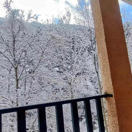 Carlina * Canfranc