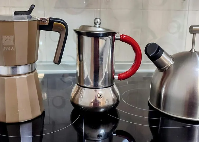 Carlina Lägenhet Canfranc